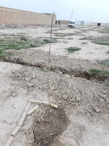 باغ ویلایی اقاقیا