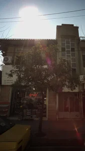 گیاهان دارویی ژینکو 2