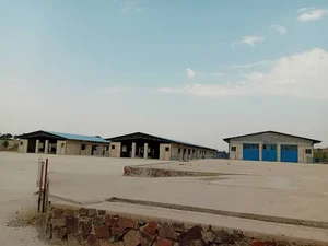دامداری نسیم برکت
