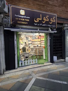 پت گوگولی