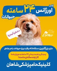 کلینیک دامپزشکی دکتر آلن