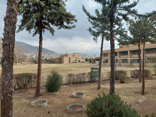 دانشگاه هنر