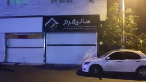 سالیفرم