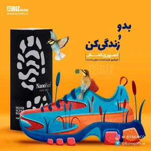 نانوسان آلمان