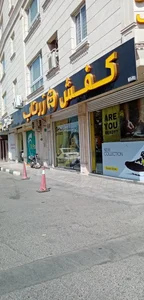 کفش زرتاب 4