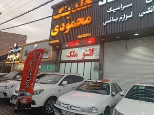 هلدینگ محمودی