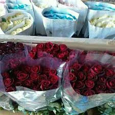 گلخانه چوبک