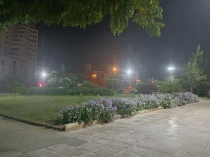 پارک نخل زرین