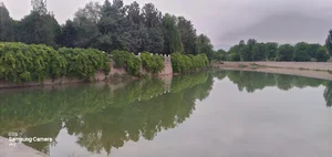 بوستان ساحلی
