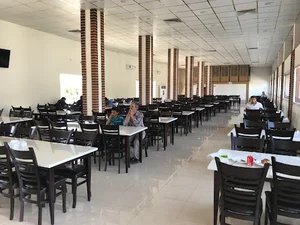 اکبر جوجه
