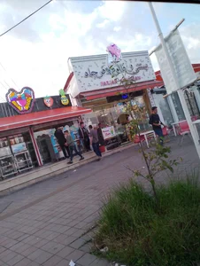 آبمیوه بستنی تمشک 2