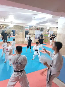 باشگاه رزمی کاویانی