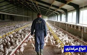 دستگاه جوجه کشی ایزی باتور