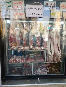 شهر ری