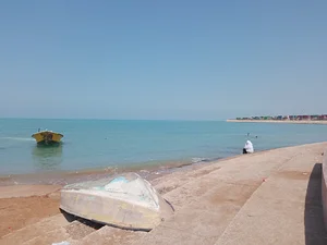 ساحل شنا