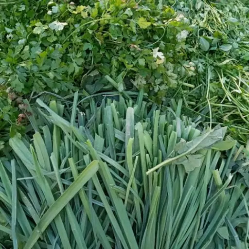 سبزی محلی