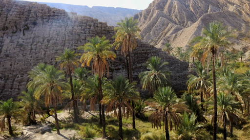 یادمان شهید رئیسعلی دلواری