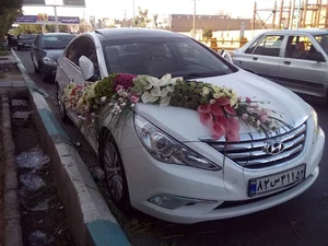 گلفروشی گل افروز