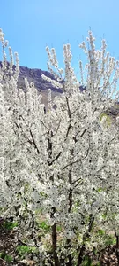روستای سنگان
