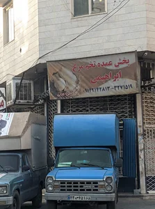 پخش تخم مرغ