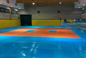 باشگاه میخک