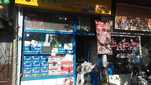 فامیلی باتری