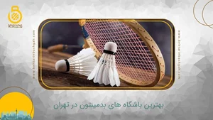 آکادمی بدمینتون