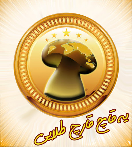 فست فود قارچ طلایی