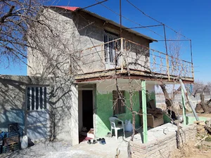 کلبه سبز