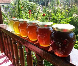عسل فروشی مادر