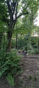 پارک جنگلی قرق ( منطقه حفاظت شده چلچلی )