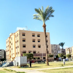 El Zohour District Presidency