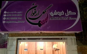 گل ارغوان 2