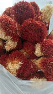 شرکت زعفران ارمغان کویر 2