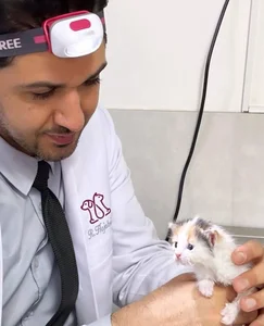 کلینیک دامپزشکی وت ایران Vetiran Pet Clinic 2