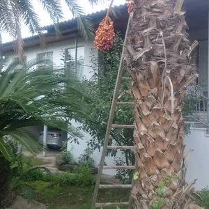 شرکت تاسیساتی نسیم شعله
