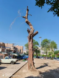 بازار صفا خرمشهر 4
