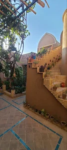 ننجون دامغان