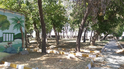 پارک جنگلی محمدیار
