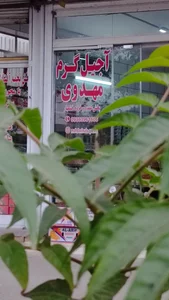 آجیل مهدوی 2