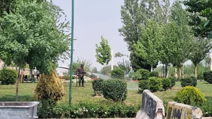 بوستان مادر