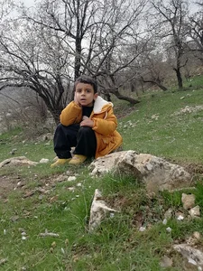 باغ پژمان مرادیان