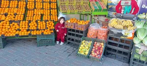 میوه فروشی سعید