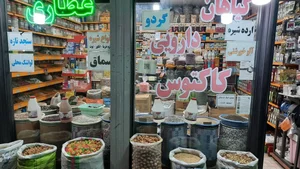عطاری کاکتوس 3