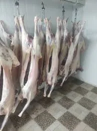 سوپر گوشت پایدار