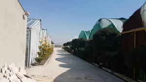 موسسه پرورش گل و گیاه حاج رمضان زارعی
