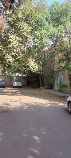 فرامرز عباسی