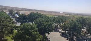 پارک جنگلی سید مرتضی 2