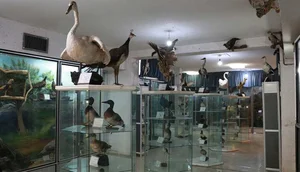 موزه تاریخ طبیعی کرمانشاه 3