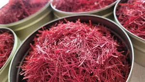 زعفران نگین پائیز